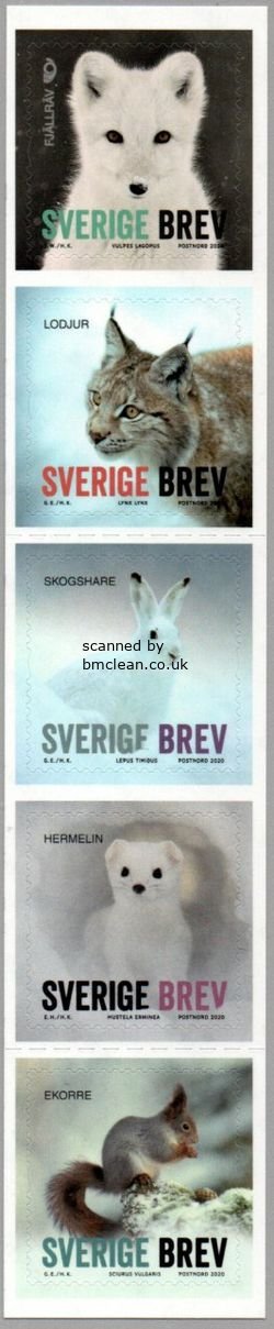 (image for) 2020 Winter Animals