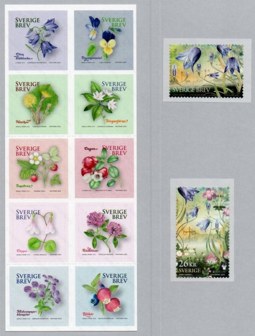 (image for) 2022 National Flower