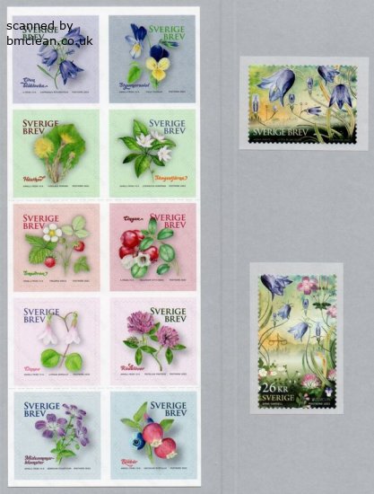 (image for) 2022 National Flower