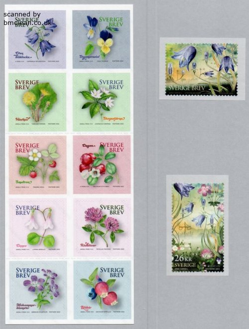 (image for) 2022 National Flower