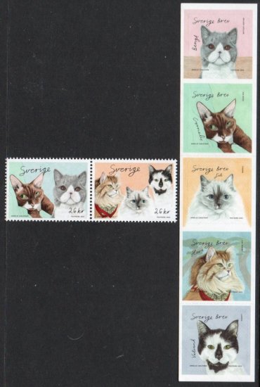 (image for) 2022 Cats