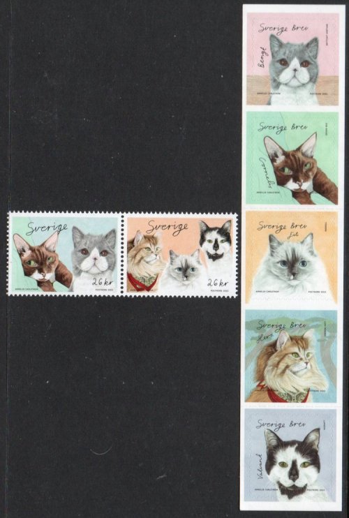 (image for) 2022 Cats