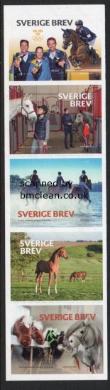 (image for) 2023 Olympic Equestrian Sport