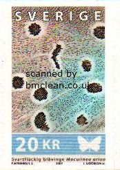 (image for) 2007 Large Blue Butterfly