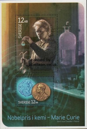 (image for) 2011 Marie Curie M/S