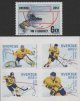 (image for) 2013 Hockey Heroes