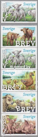 (image for) 2013 Young Animals