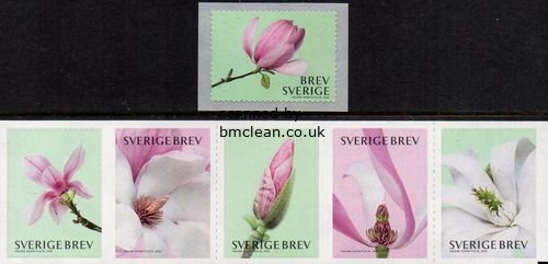 (image for) 2015 Magnolias