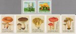 (image for) 2015 Fungi