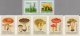 (image for) 2015 Fungi