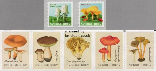 (image for) 2015 Fungi