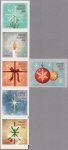 (image for) 2015 Stars of Christmas