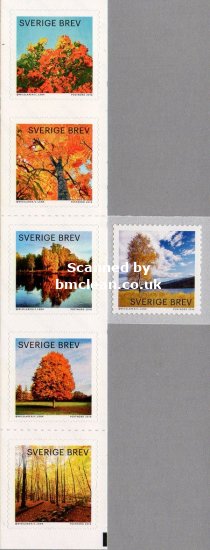 (image for) 2016 Autumn Glow - Trees