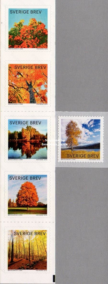 (image for) 2016 Autumn Glow - Trees