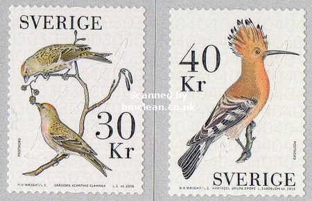 (image for) 2016 Birds