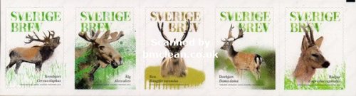 (image for) 2016 Deer