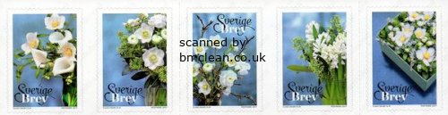 (image for) 2017 Winter Flowers