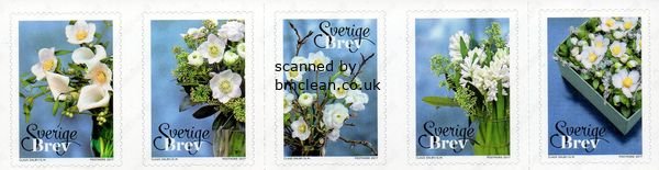 (image for) 2017 Winter Flowers