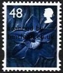 (image for) 48p Daffodil