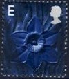 (image for) E Daffodil