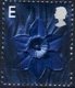 (image for) E Daffodil