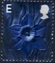 (image for) E Daffodil