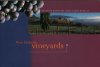 (image for) 1997 Vineyards M/S Booklet