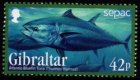 (image for) 2013 SEPAC - Fish