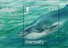 (image for) 2011 Blue Whale (M/S)