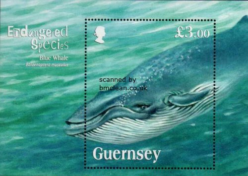 (image for) 2011 Blue Whale (M/S)