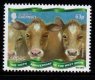 (image for) 2013 SEPAC - Cattle