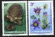 (image for) 1970 Nature Conservation