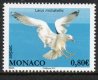 (image for) 2013 SEPAC - Seagull