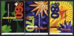 (image for) 1992 Flower Show