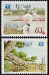 (image for) 1991 Tourism Year