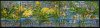 (image for) 1995 Nature Conservation