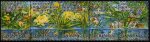 (image for) 1995 Nature Conservation