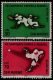 (image for) 1964 Baseball Championships